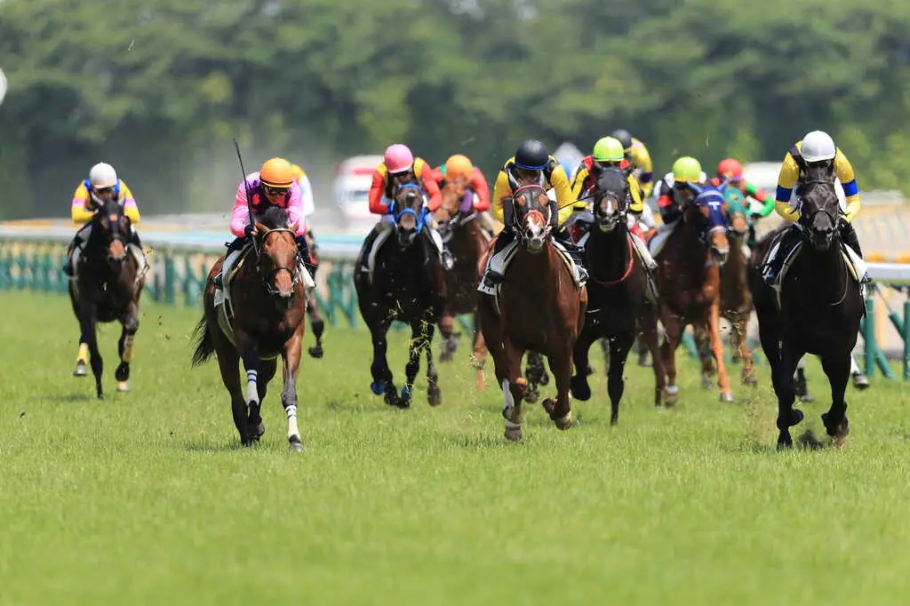 東京競馬場で走る馬